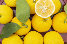 Load image into Gallery viewer, AOTAN NO YUZUSHU 1800ml