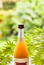 Load image into Gallery viewer, MUKASHIHANASHI TORORI NIGORI UMESHU 720ml